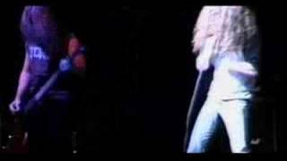 SIX FEET UNDER -  LYCANTHROPY