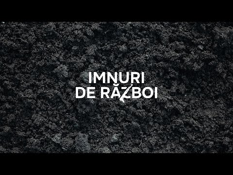 Alternosfera - Imnuri De Razboi | Official Music Video | 2023