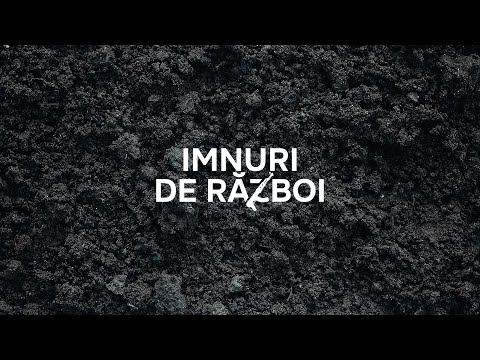 Alternosfera - Imnuri De Razboi