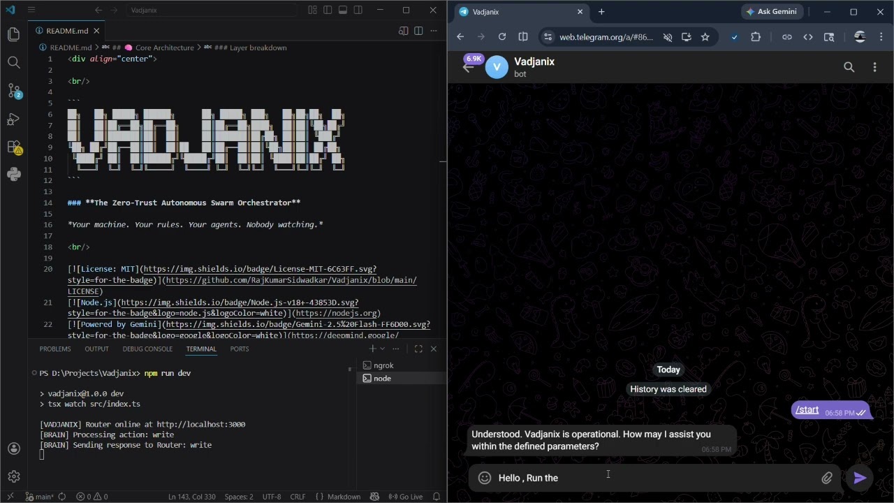 Vadjanix Demo