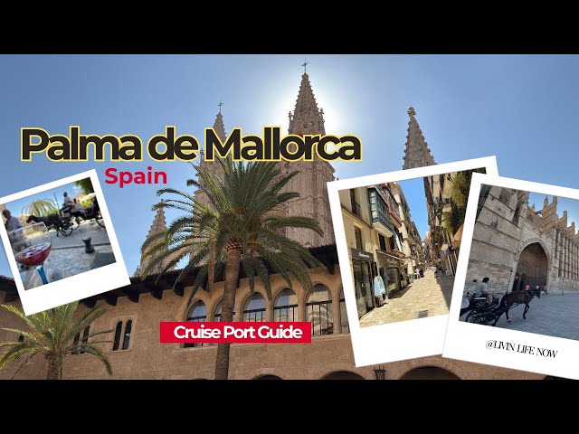 Latest video thumbnail