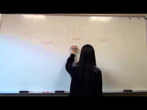 Module 6: What is SSL (Secure Sockets Layer)?