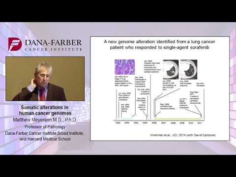 Lung Adenocarcinoma - Mathew Meyerson M.D, Ph.D  PART 2