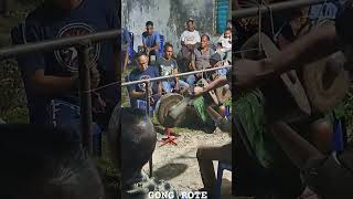 Download lagu Gong Rote mp3