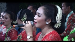 Download lagu TERBARU TAYUB GIYANTINI SENGKOLO MOMONG||SUKO LARAS||DEWA-DEWI AUDIO mp3 Download lagu TERBARU TAYUB GIYANTINI SENGKOLO MOMONG||SUKO LARAS||DEWA-DEWI AUDIO mp3