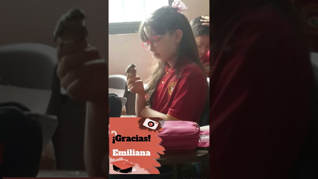 JUAN SALVADOR GAVIOTA -GAVIOTA QUE VE LEJOS VUELA ALTO