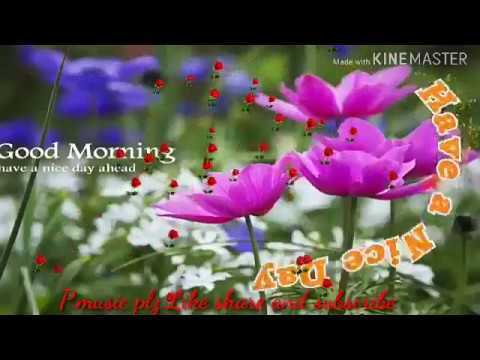 Good morning wishes video 2019