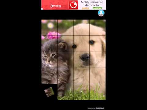 Quebra-cabeça Zoológico Video