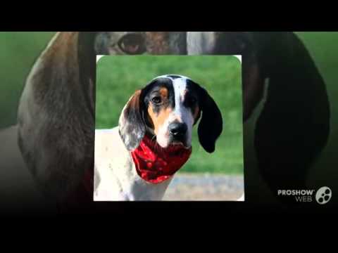 {$row[$i]['name'], ENT_QUOTES,'utf-8'); ?>