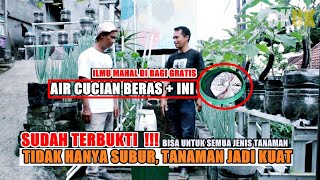 Download lagu Awalnya Tidak Percaya, Lihat Hasilnya Memuaskan / Pupuk Organik Pengganti Pupuk Kimia mp3 Download lagu Awalnya Tidak Percaya, Lihat Hasilnya Memuaskan / Pupuk Organik Pengganti Pupuk Kimia mp3