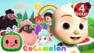 Baa Baa Black Sheep (Animal Time Dance Party) | Cocomelon - Nursery Rhymes | Fun Cartoons For Kids