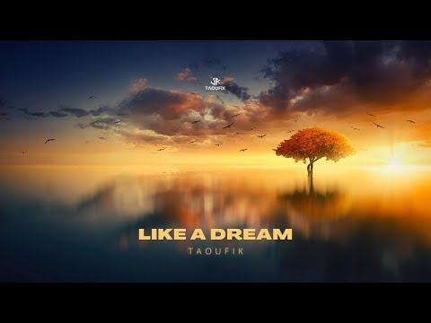 Taoufik - Like A Dream (Official Music Video)