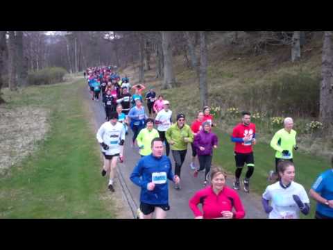Run Balmoral - Stena Drilling Tartan 10K - 2016