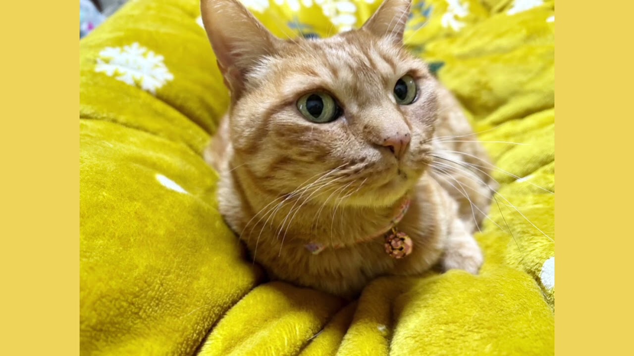 2026年🐴お久しぶりです🐈