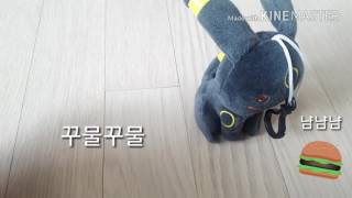 핑크토끼vs검정토끼😘(-유하 youtube-)