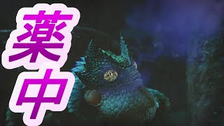 こいつら星３と間違えてません【モンスターハンターライズ】【ゲーム実況】