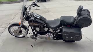 1997 Harley Davidson Softail Custom Walk Around