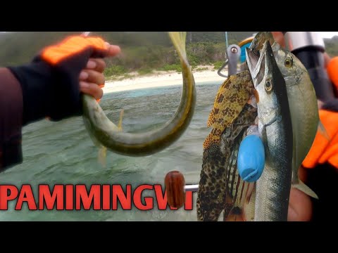 EP252: SUNOD-SUNOD NA SEA GRASS FISH ANG DUMAWI | ROD AND REEL