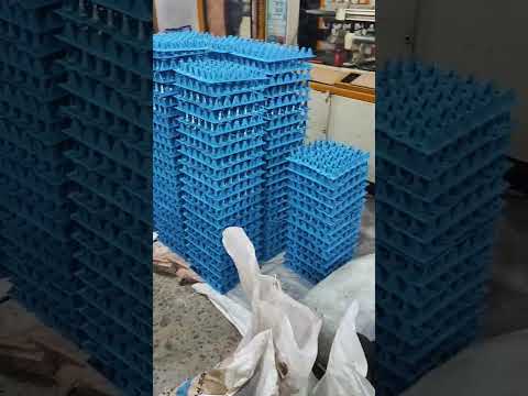 Ms black and white egg tray trolley, capacity: 40trays