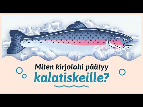 Mädistä ruokapöytään | Mistä kala tulee