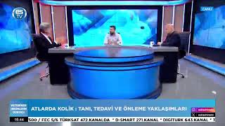 VETERİNER HEKİMLERİN DÜNYASI 02.04.2026