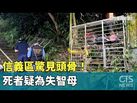 信義區驚見頭骨！男曾通報走失　死者疑為失智母