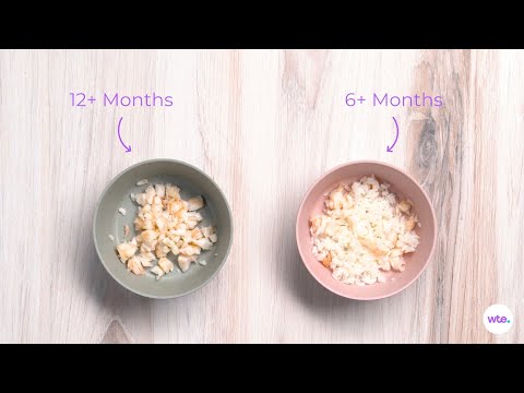 Shellfish-how to feed your baby safely