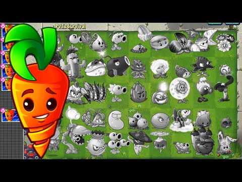 , title : 'PvZ2 Survival - All Plants Burned & Intensive Carrot Vs Zombies Gameplay'