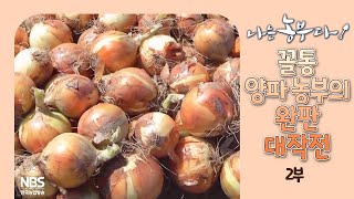 [나는농부다 308회 2부] 꼴통 양파 농부의 완판 대작전