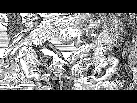 Tatjana Samardžija - "U srcu Armagedona" - 22.12.2017.