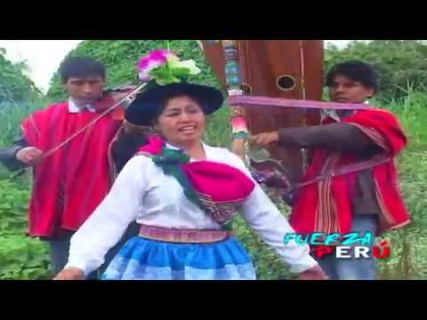 ROSITA DE PAMPACHIRI TORIL TEMA: SEÑOR OBLIGADO