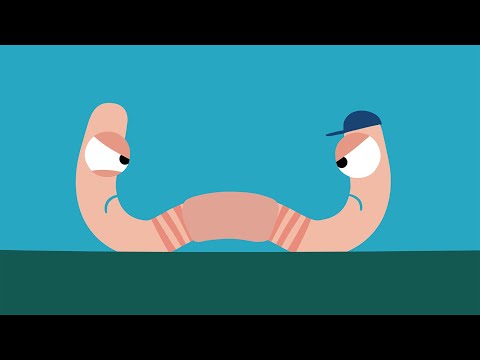 Animanimals: Earthworm