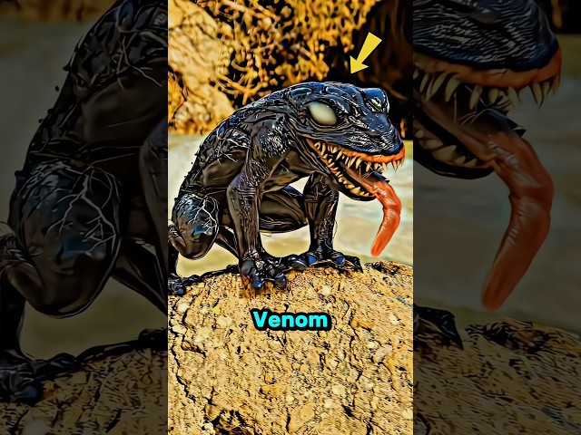 Vídeo relacionado con Marvel Carnage And Venom Side by Side Retrait Sudadera