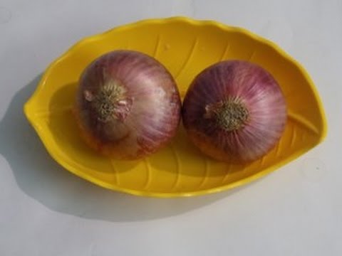 Paghahanda ng kuko halamang-singaw sa iyong mga kamay Halamang-singaw sa kanyang mga paa sa pagtakbo kaysa sa pagalingin