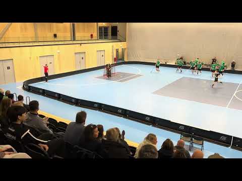 Linköping AIS vs Linghems SK (2nd period) (Feb.02.2025) (Div2)