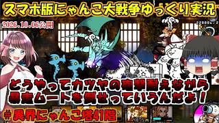 [ゼロ伝説になるにゃんこ]暴れないでください！サキとサキをぶつけますよ！[にゃんこ大戦争ゆっくり実況]異界にゃんこ塔41階