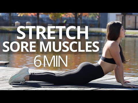 STRETCH AWAY Sore Muscles FAST with This 6 Min Everyday Stretching Routine