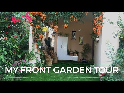 My Front Garden Tour || Porch Tour || Indian small Garden Tour- Backyard Gardening Video