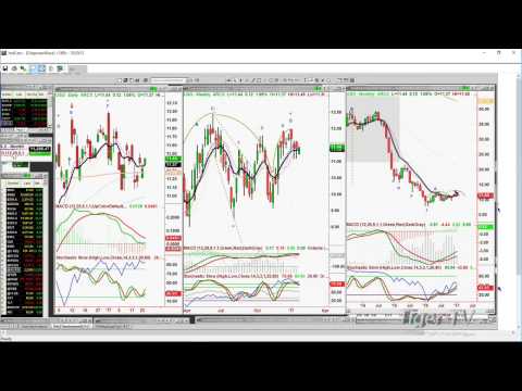 January 24th  Tiger Technicians Hour with Basil Chapman on TFNN - 2017