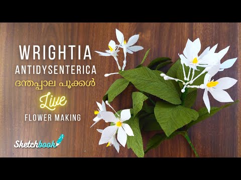 Wrightia antidysenterica | ദന്തപ്പാല പൂക്കൾ | Live Flower making tutorial