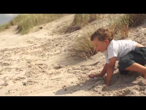 Pole Namiotowe Nad Morzem - Habenda Windsurfing