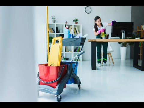 Zadbany Dom Profesjonalne usługi czyszczenia Marcin Tokarski - video