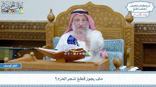 2650 - متى يجوز قطع شجر الحَرَم؟ - عثمان الخميس