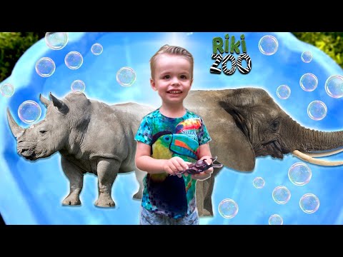#3 Zoo animals for kids | RikiZoo safari creatures names and sounds