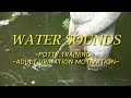 Water Sound For Potty Training Best Running Water Sounds To Help You Pee