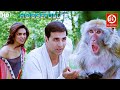 Akshay Kumar Deepika Padukone Full Comedy Movie Riteish Deshmukh Housefull