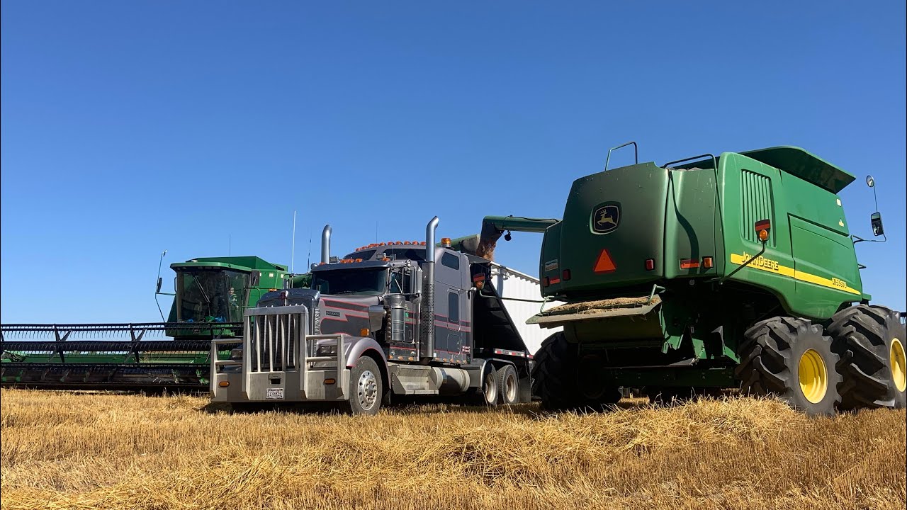 Can Mollasses boost Barley yields?