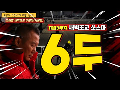 강백호- 터질수 밖에 없는 11월3주차 경마주간!!(기승정지 기수7명)새벽조교 쏘스마!! 2주간 훈련변화 보인 마필은?