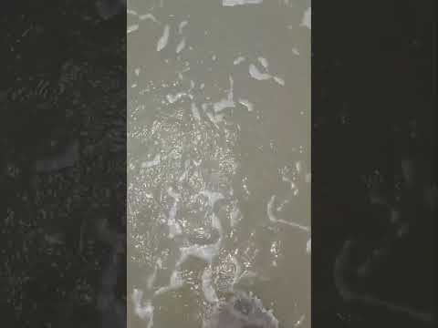 #chaleya #beachvibes #subscribe #share #like #youtubeshorts #youtube  @TithiTrishitaGhosh