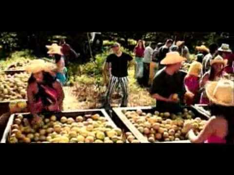 Ceballos - Arnaldo y su Talisman